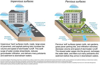 Conceptual Diagram, Sponge City, Green Infrastructure, Stormwater Management, Urban Heat Island, Eco Architecture, Urban Forest, Social Projects, Grey And Green