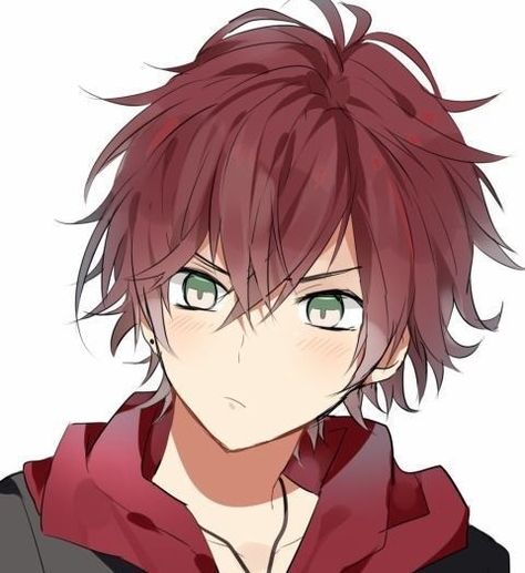 he was found infrount of a school yard. he is 17 and he is a very quiet person. he is shy but is very helpful and playful An Anime, Green Eyes, Anime Character, Red Hair, Anime Boy, The Story, Green, Red, Hair