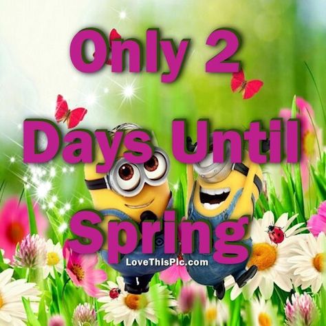 Only 2 Days Until Spring Days Till Spring, Quotes Spring, Days Until Spring, Spring Quote, 2 More Days, Spring Quotes, Spring Pictures, Facebook Image, Holidays And Events