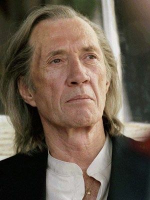 David Carradine as Bill in Kill Bill David Carradine, Quentin Tarantino Movies, Passionate Couples, Black Hollywood, Kill Bill, Character Actor, Quentin Tarantino, The Villain, Vol 2