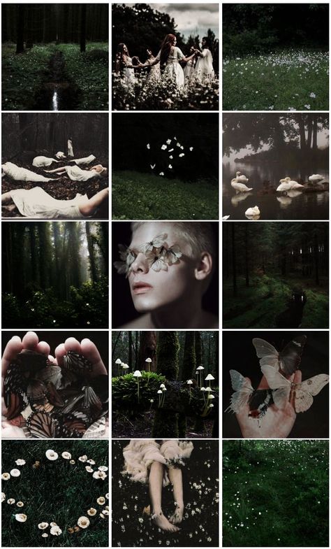 dark fairy aesthetic - green and pink fairies seelie unseelie fantasy aeshetic forest gothic cottagecore mythology moodboard Dark Fairy Aesthetic, Punk Cottagecore, Pink Fairies, Fairy Punk, Gothic Cottagecore, Punk Aesthetic, Fairy Aesthetic, Dark Fairy, Cottage Core Aesthetic