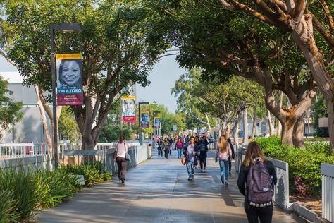 California State University campuses in Los Angeles County awarded grants to increase transfers – CSUDH News Senior Programs, Grant Money, California State University, Transfer Student, University Campus, Financial Aid, Los Angeles County, Community College, California State