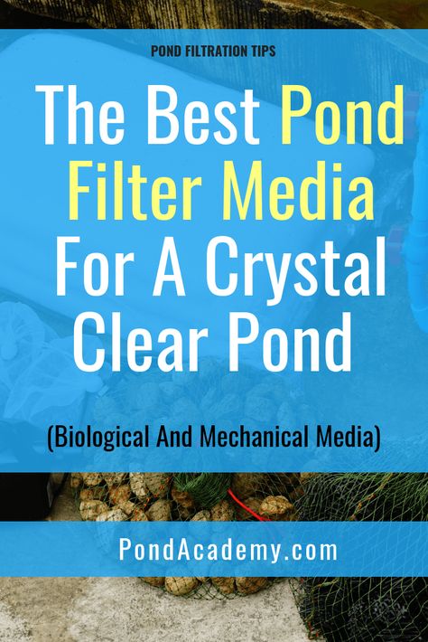 Diy Koi Pond Filter System, Diy Pond Filter How To Make, Koi Pond Filter System, Pond Filter Diy, Pond Natural, Pond Pumps And Filters, Farm Ponds, Pond Building, Ponds Ideas