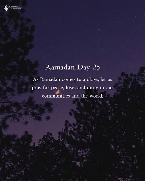 Islamic Quotes ❤ on Instagram: "Ramadan Day 25 🫶🕊️" Ramadan Day 25 Quotes, Ramadan Day 22, Ramadan Day 25, 2024 Ramadan, Birthday Niece, Happy Birthday Niece, Eid Pics, Printable Islamic Art, Ramadan 2024