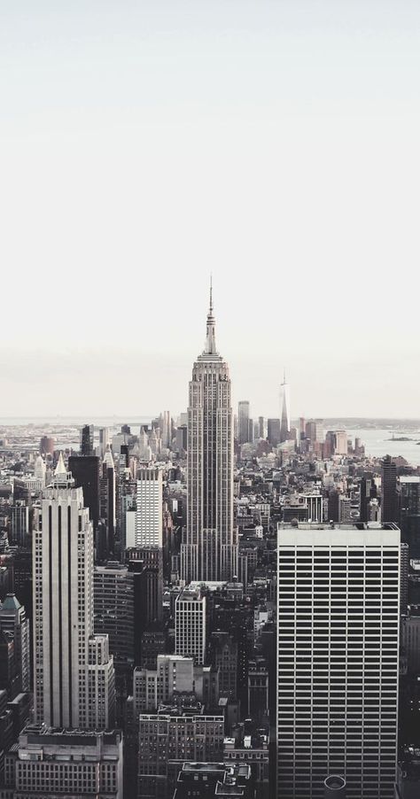 Iphone Wallpaper Nyc, New York Background, Flat Iron Building, City Wallpapers, City Aesthetics, Blue Roses Wallpaper, New York Wallpaper, Iphone Wallpaper Lights, Building Photography