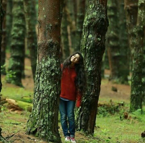 Photography Poses In Ooty, Araku Valley, Photography Artistique, Sai Pallavi Hd Images, Aesthetic Poses, Kodaikanal, Army Couple, Sai Pallavi, Hema Malini