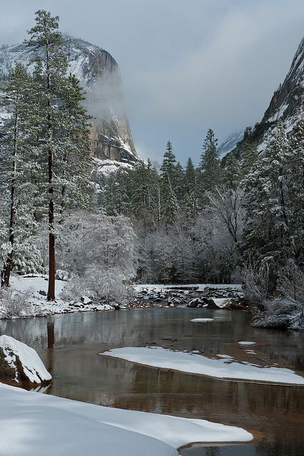 Mirror Lake, Yosemite National Park; photo by Bernard Chen Mirror Lake, Yosemite National, Yosemite National Park, Winter Scenes, Lake View, Nature Pictures, Vacation Spots, Beautiful World, Beautiful Landscapes