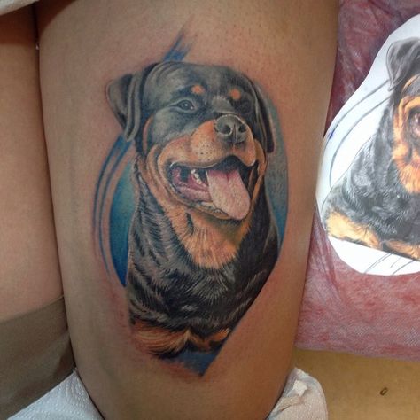 Tattoo Perro, Rottweiler Temperament, Rottweiler Pictures, Rottweiler Tattoo, German Dog Breeds, Rottweiler Love, Beautiful Dog Breeds, Tattoo Name, Popular Dog Breeds