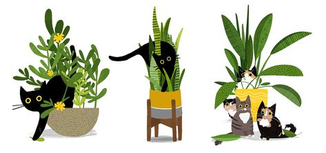 Cats Plants, I Love Plants, Plant Eater, Sticker Design Inspiration, Cat Plants, Fruit Wall Art, Love Plants, I Love Cats, Black Cat Art