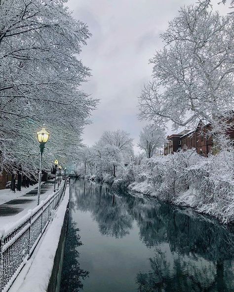 Massachusetts Photos 📷 sur Instagram : 🌟Photo of the day!🌟 Today's gorgeous photo comes from: @naturewithnica Stunning capture from Chicopee, Massachusetts! Selected by… Massachusetts Winter, England Winter, Frozen Lake, River Valley, Photo Of The Day, Winter Photography, Best Cities, Capital City, Winter Time