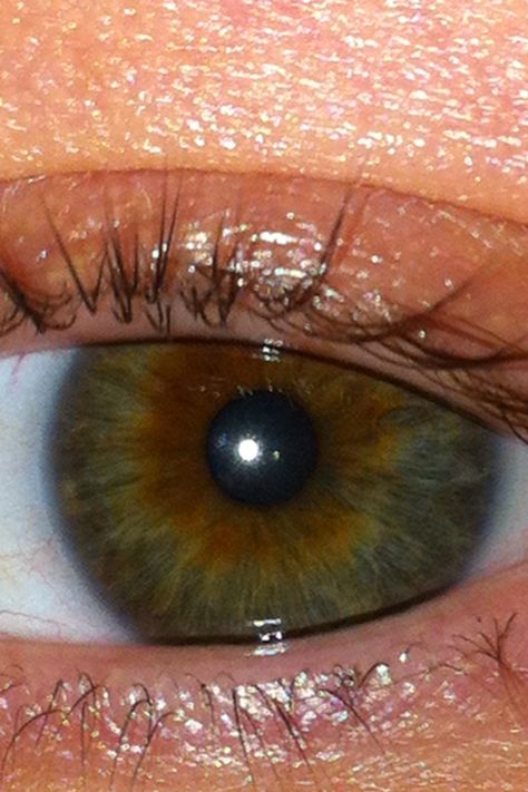 Hazel eyes  almost like a star burst 🎇 Biracial Couples, Star Burst, Hazel Eyes, Cartoon Profile Pics, Brunette Hair, Skin Color, Eye Color, Makeup Tips, Profile Picture