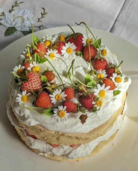 Cottage Core Cake Aesthetic, Cottage Core Snacks, Summer Cake Aesthetic, Cottage Core Cakes, Rachael Core, Flower Cake Aesthetic, Sandy Core, Cottage Core Cake, Cottage Core Baking