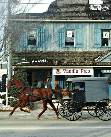 Amish buggy, Amish country Lancaster Pennsylvania. An amazing and beautiful part of the USA  http://worldtravelfamily.com Amish Village, Amish Country Pennsylvania, Amish Buggy, Amish Pennsylvania, Pennsylvania Dutch Country, Amish Culture, Pennsylvania Travel, Lancaster Pennsylvania, Lancaster County