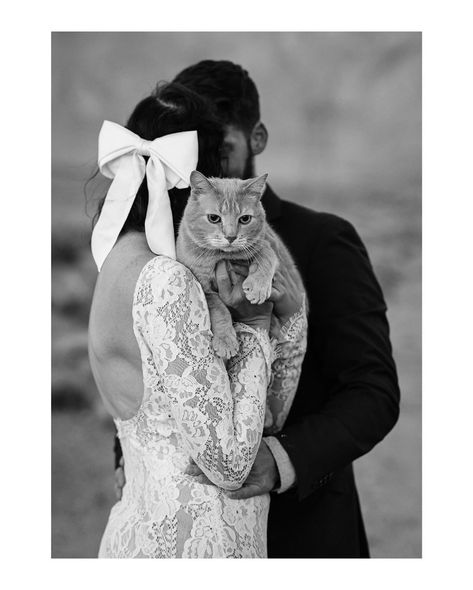 I’m cat-sitting this week so let’s talk about eloping with pets! There’s nothing quite like inviting your furriest family members on your photoshoots. Or yes, even on your wedding day! So how can you make the most out of bring your pet along on the big day? 🐱 Bring a leash 🐈 Check local restrictions 🐈‍⬛ Be wary of triggers 🐱 Check the weather 🐈 Bring toys and treats 🐈‍⬛ Be prepared for candids 🐱 Bring a lint roller and disposable baggies 🐈 Be patient and have fun Would you bring your pet... Cat Wedding Pictures, Wedding Cat Ideas, Wedding Photos With Cats, Cat Wedding Photos, Cat At Wedding, Cat In Wedding, Pet Wedding Photos, Garden Wedding Reception, Rustic Boho Wedding