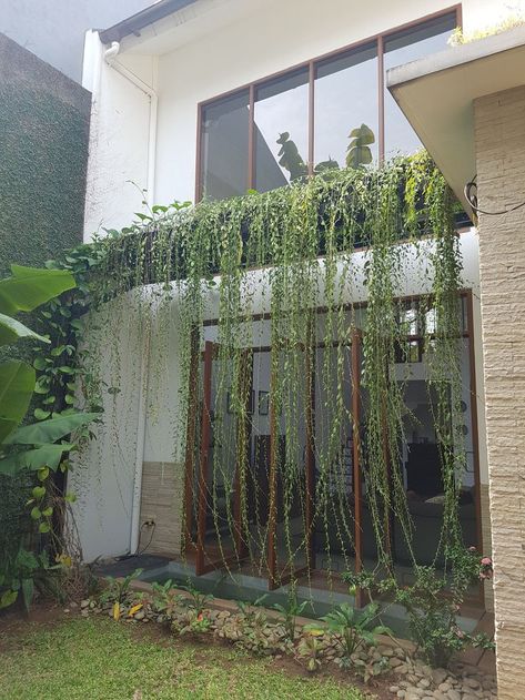 Pergola with Vines: Cover a pergola with grapevines, wisteria, or roses.
Fabric Drapes: Use outdoor fabric or sheer curtains for shade and privacy.
Arched Arbors: Place arbors at entry points with hanging plants or lights.
Canopy with Lights: Add string lights or lanterns for an evening ambiance.
Hashtags:
#PergolaDesign
#GardenArbor
#ClimbingPlants
#OutdoorLiving
#GardenRetreat
#PergolaVibes
#GardenCanopy Pergola With Vines, Canopy With Lights, Privacy Screen Ideas, Terrace House Exterior, Creating A Garden, Garden Screens, Bali Garden, Privacy Ideas, Garden Privacy Screen