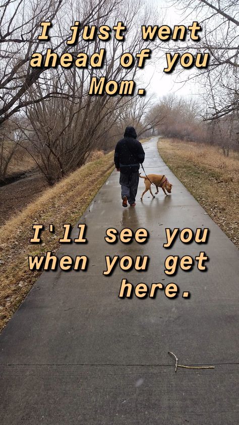 It breaks my heart that you left before me. I need you here with me. I'm so lonely without you 💔 Dog Heaven Quotes, Y2k Graffiti, Walk Dog, Miss My Dog, Dog Poems, Dog Quotes Love, Here With Me, Dog Heaven, Pet Remembrance