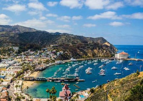 Catalina Island CA Cheap Tropical Vacations, Oregon Dunes, Landscaping On A Budget, Santa Catalina Island, Places In America, Santa Catalina, Catalina Island, Cannon Beach, Bucket Lists