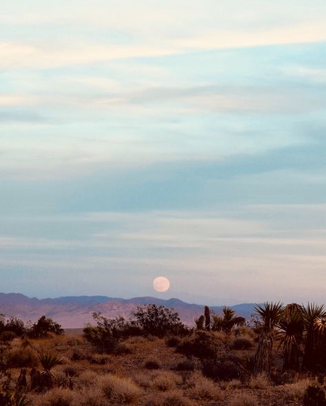 desert dream • @thoughtfulness California Desert Aesthetic, Desert Clouds, Desert Aesthetic, Desert Dream, Desert Life, Desert Vibes, Moon Rise, The Full Moon, To Infinity And Beyond