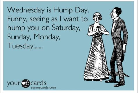 Wednesday is hump day Hump Day Quotes, Hump Day Humor, Wednesday Quotes, Fun Pics, Sunday Monday Tuesday, Sunday Monday, Its Friday Quotes, Wife Life, Monday Tuesday