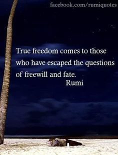 Untitled Rumi Quotes On Love, Rumi Quotes Soul, Rumi Poem, Rumi Poetry, Jalaluddin Rumi, Rumi Love Quotes, Rumi Love, Quotes On Love, True Freedom