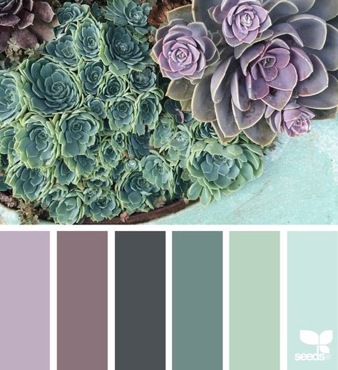 succulent color Color Palate, Design Seeds, Color Harmony, Deco Floral, Bathroom Colors, Colour Board, Bedroom Colors, Colour Schemes, Color Pallets