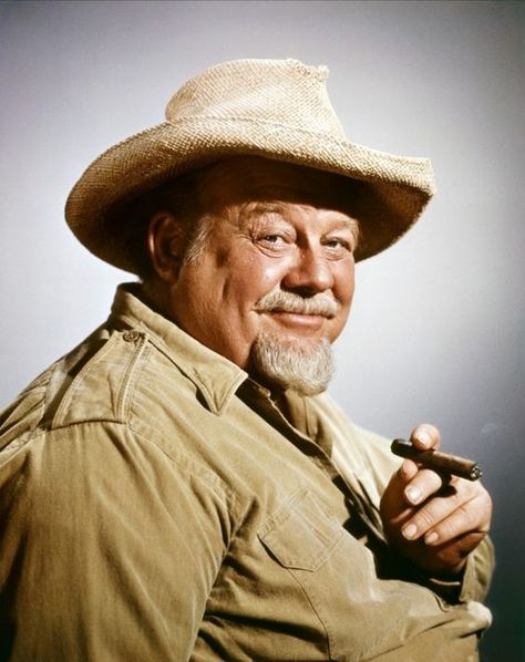 Burl Ives Burl Ives, American Folk Music, Blue Tail, Western Movie, Tv Watch, Character Actor, Famous Men, Folk Music, Hollywood Actor