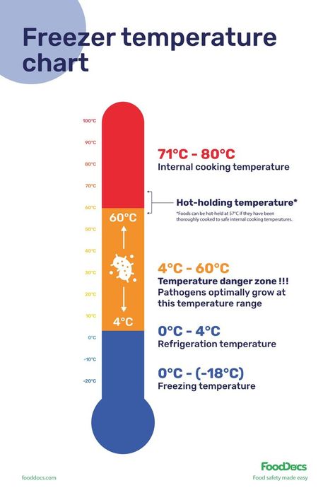 Freezer Temperature Chart | Download Free Poster Food Safety Posters, Food Safety And Sanitation, Food Safety Training, Food Engineering, Culinary Lessons, Temperature Chart, Kitchen Safety, Danger Zone, Food Allergens