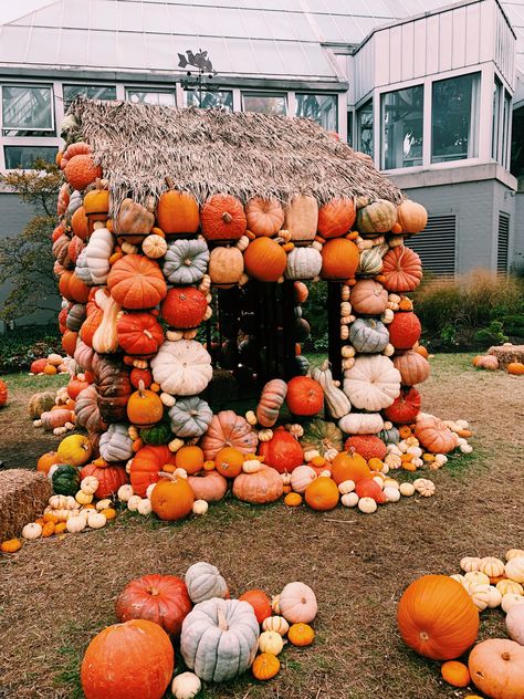 Pumpkin Installation, Pumpkin Displays Outside, Fall Displays Outdoor, Castle Decorations, Picnic Decor, Pumpkin Patch Farm, Halloween Castle, Fall Farm, Pumpkin Wall