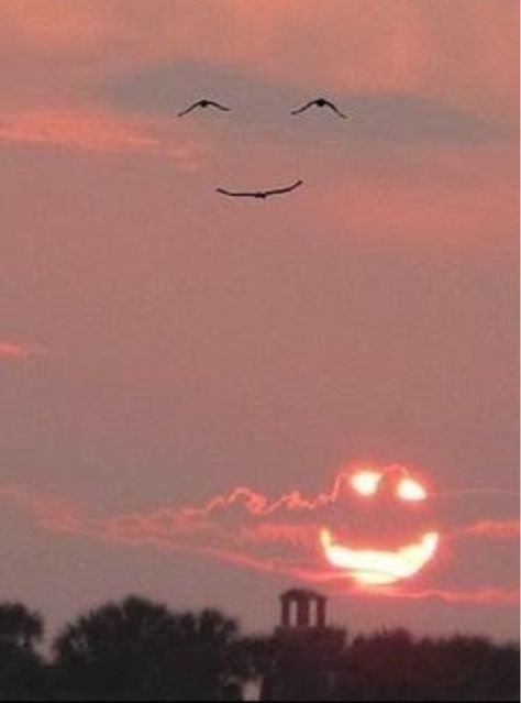 Keep on smilin Cause when you're smilin' The whole world smiles with you Die With A Smile, Smiling Aesthetic, Smile World, Things With Faces, Bird Flight, Twilight Sky, Smiley Faces, Setting Sun, Funny Face