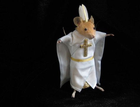 Dorime Rat Original | Dorime Rat / Rato Dorime | Know Your Meme Funny Rats, Cute Rats, Hamsters, Rodents, Reaction Pics, Taxidermy, Rats, Mice, Funny Animals