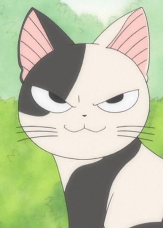 Kocchi | Anime-Planet Chi's Sweet Home, What Is Anime, Luna And Artemis, Cat Character, Anime And Manga, Home Icon, Anime Cat, Cat Aesthetic, Cartoon Profile Pics