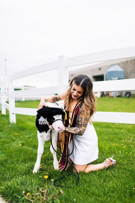 Animal Science Graduation Pictures, Vet Graduation Pictures, Vet Tech Graduation Pictures, Vet School Graduation Pictures, Science Graduation Pictures, Graduation Pictures With Baby, Calf Photoshoot, Senior Pictures With Cows, Calf Pictures