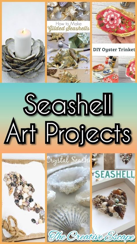 Art Projects With Shells, Crafting With Seashells, Craft Shells Ideas, Creative Things To Do With Seashells, Seashell Home Decor Diy, What To Do With Shells From The Beach Diy Ideas, What To Do With Sea Shells Ideas, Crafts With Large Seashells, She’ll Craft Ideas