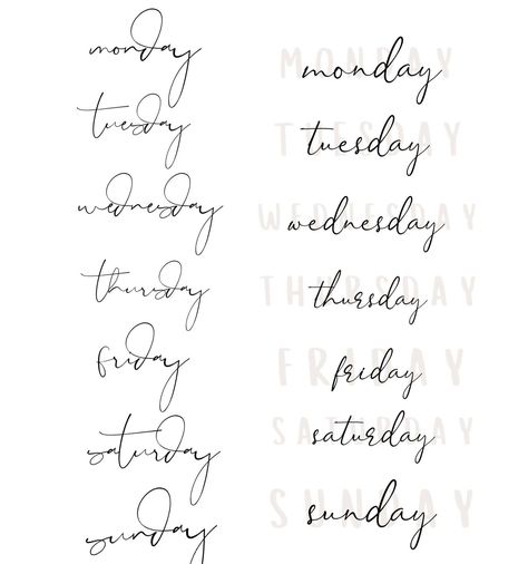 Days of the Week Digital Sticker Collection, digital stickers, goodnotes stickers. Perfect for Planning your Weeks, days in your Digital Planner. You can also use individual stickers in your Instagram stories.  You will love these super simple. Download sticker sheet to use directly in the Goodnotes app.  ----------------------------------- THIS ITEM IS A DIGITAL DOWNLOAD. NO PHYSICAL ITEM WILL BE SHIPPED. What's included with your purchase: - 1 goodnotes file with 1 sticker page. Includes 15 pr Ipad Stickers Goodnotes Free, Good Notes Stickers, Ipad Stickers Goodnotes, Goodnotes Stickers, Digital Stickers, Good Notes, Sticker Collection, Digital Sticker, Digital Planner