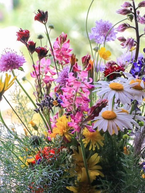 Wildflower Arrangements, Wild Flower Arrangements, Summer Florals, Growing Dahlias, California Native Plants, Potting Bench, Sympathy Flowers, Go Wild, Flower Display