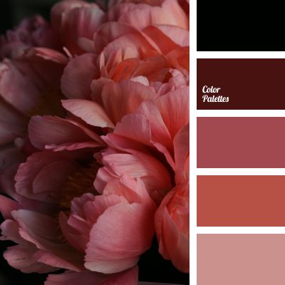 Color Palette #4388 Elf Fashion, In Color Balance, Burgundy Colour Palette, Color Palette Ideas, Wall Living Room, Red Colour Palette, Palette Ideas, Pink Palette, Warm Palette