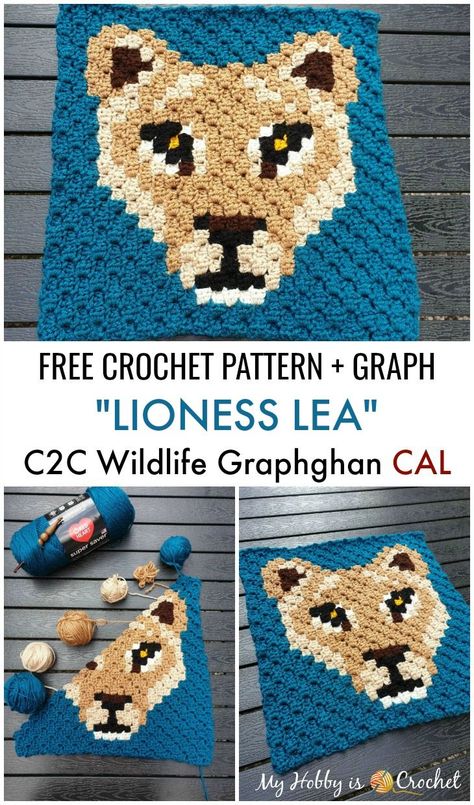 "Lioness Lea" is the 4th. C2C Square of the Wildlife Graphghan and you can find the free crochet pattern on My Hobby is Crochet blog. Cal Crochet, Corner To Corner Crochet Pattern, Crochet C2c Pattern, Corner To Corner Crochet, Animal Blanket, Pixel Crochet, Baby Blanket Knitting Pattern, C2c Crochet, Crochet Blog