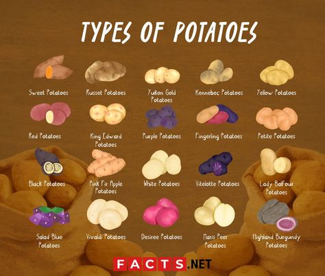 types of potatoes Kennebec Potatoes, Potato Images, Blue Potatoes, Types Of Potatoes, Purple Potatoes, Yellow Potatoes, Potato Crisps, Clam Recipes, Fingerling Potatoes