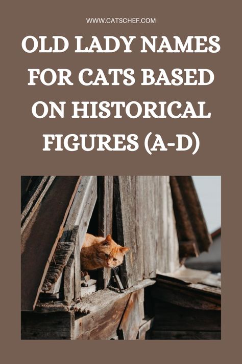 History is full of famous ladies who changed the world. Some of them were famous rulers, while others were scientists, writers, artists, fashion icons, or even journalists and athletes. When Beyonce said that women rule the world, she was right. I mean, look at all these powerful women! If you want to give your cat a unique and meaningful name, you’ll definitely enjoy these old successful lady names. Enjoy! #catschef #cat #cats #kitten #kittens #catlover #catlovers #catlife #catoftheday Successful Lady, Old Lady Names, Names For Cats, Women Rule, Meaningful Names, Vintage Names, Town Names, Rule The World, Rosa Parks