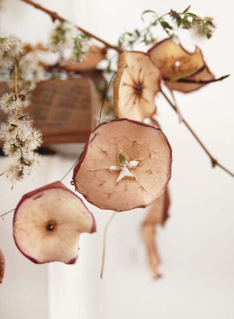 Apple Faces Dried, Apple Garland Diy, Dried Apple Decorations, Dried Apple Garland, Baked Apple Slices, Fruit Garland, Apple Garland, Dehydrated Apples, Diy Christmas Garland