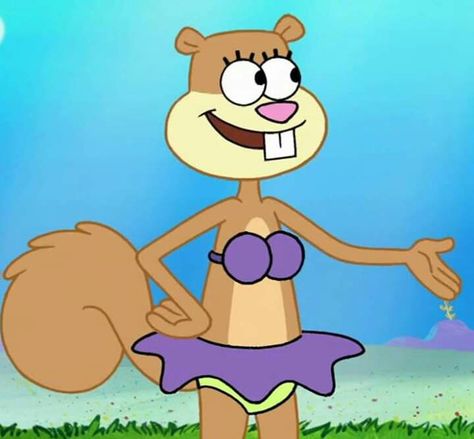 Spongebob And Sandy, Spongebob Background, Ash And May, Tommy Pickles, Dreamworks Characters, Spongebob Painting, Sandy Cheeks, Spongebob Birthday, Squirrel Girl