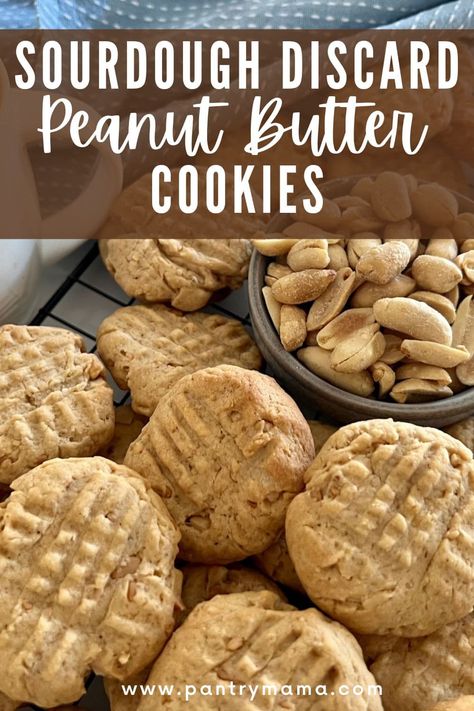 Sour Dough Discard Peanut Butter Cookies, Fermented Sourdough Cookies, Discard Peanut Butter Cookies, Bulk Dessert Recipes, Sourdough Starter Discard Dessert Recipes, Sour Dough Discard Cookies Recipes, Uses For Peanut Butter Powder, Sourdough Discard Toddler Recipes, Sourdough Discard Thumbprint Cookies