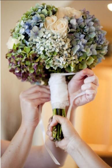 Hortensia Wedding Bouquet, Wedding Flowers Lilac, Blue Bouquets, September Wedding Flowers, October Wedding Flowers, Inexpensive Wedding Flowers, Daisy Wedding Flowers, Wedding Flowers Tulips, Flowers Lilac