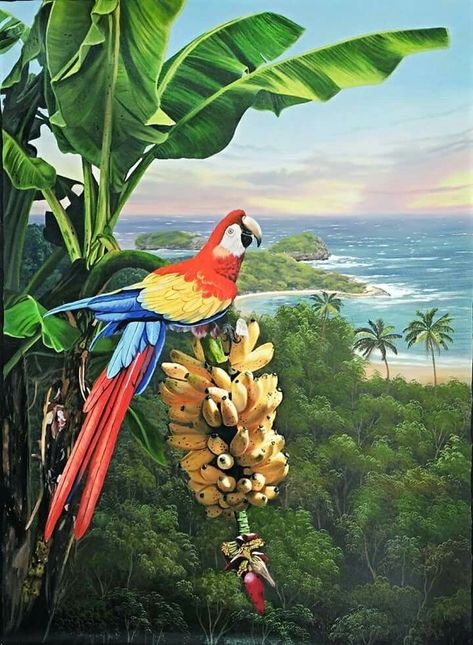 Hummingbird Painting Acrylic, Buddha Painting Canvas, Parrots Art, Animal Illustration Art, Caribbean Art, Usa Art, Tropical Art, Amazing Art Painting, Alam Yang Indah