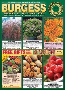 Free Seed Library, Seed Catalogs Vintage, Heirloom Seeds Catalog, Vintage Burpee Seed Packets, Growing Vegetables In Pots, Garden Catalogs, Plant Catalogs, Seed Catalogs, Organic Gardening Tips