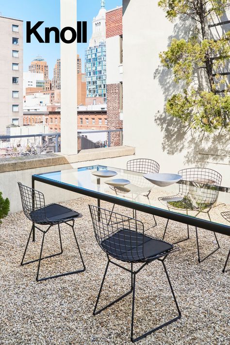 black outdoor side chairs on patio with seat pads Bertoia Side Chair, Knoll Furniture, Bauhaus Furniture, Living Room Classic, Classic Outdoor, Workplace Design, Open Spaces, Contemporary Outdoor, Minimalistic Design