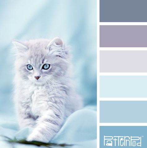 Baby Blue #patternpod #patternpodcolor #color #colorpalettes Color Schemes Colour Palettes, Baby Blue Colour, Color Palate, Blue Colour Palette, Color Palette Design, Colour Schemes, Color Pallets, Color Swatches, Color Theory