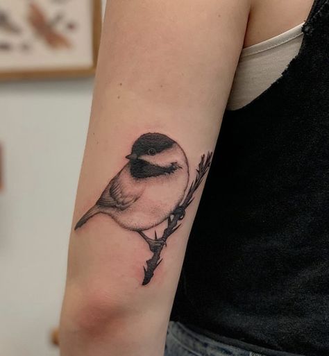 Chickadee Silhouette, Black Capped Chickadee Tattoo, Chickadee Tattoo, Nature Sleeve, Black Capped Chickadee, White Nature, Tattoos Ideas, S Tattoo, Artsy Fartsy