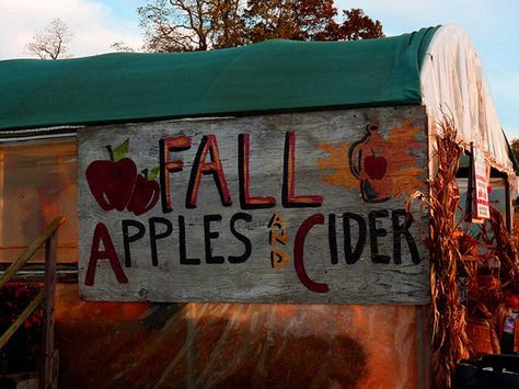 Fall Apple Cider, Gilmore Girl, Fall Mood Board, Fall Apples, Season Of The Witch, Fall Feels, Best Seasons, We Fall In Love, Autumn Cozy