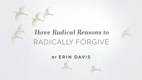 Three Radical Reasons to Radically Forgive | Revive Our Hearts Episode | Revive Our Hearts Disciple Me, Erin Davis, Radical Forgiveness, Nancy Demoss, To Forgive, I Need To Know, Forgiving Yourself, Christian Books, Talking To You